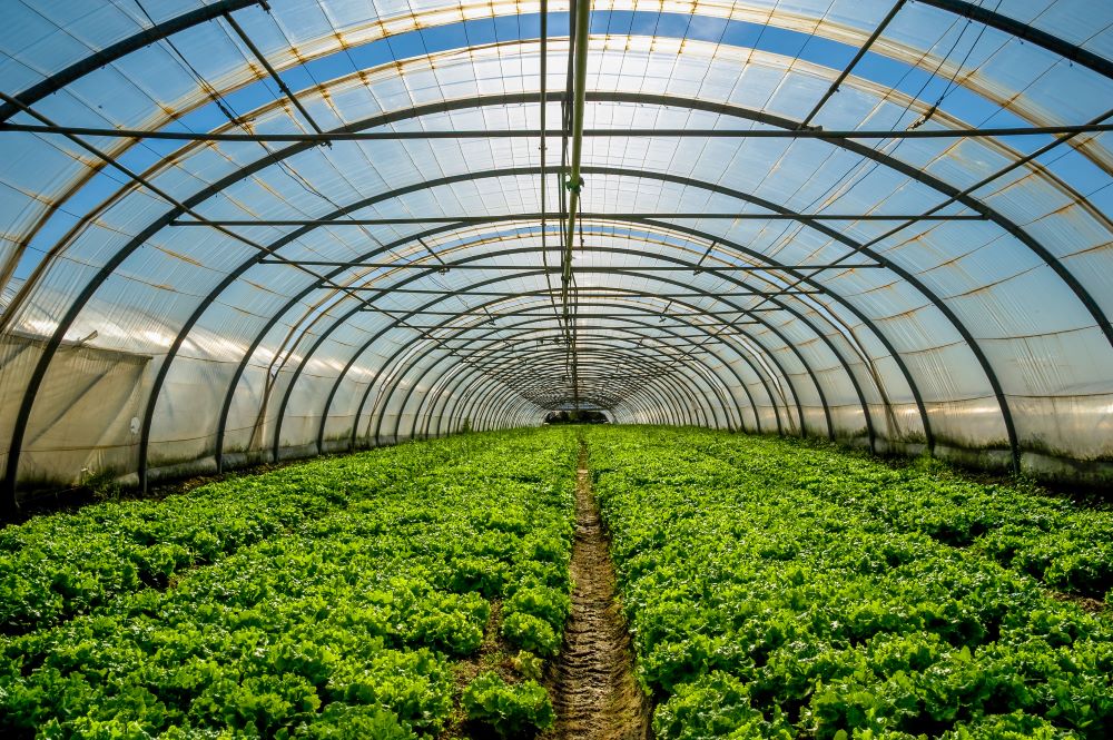 Greenhouse financing